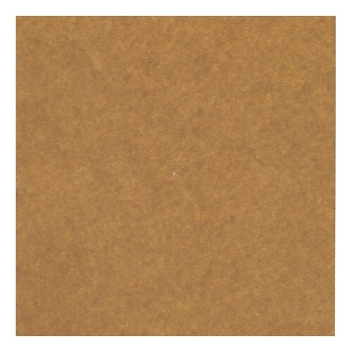 ぶどう用生産資材 クラフトロー引傘 300角 55