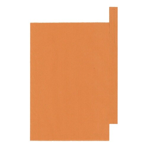 ビワ用果実袋 オレンジ 特大 止入 556008