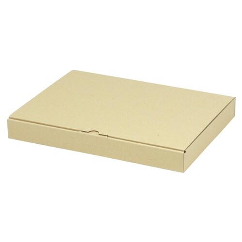 宅配 箱 EE−122宅送用ギフト箱3cm