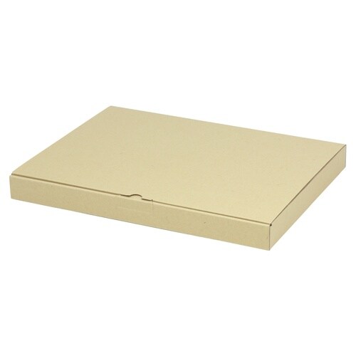 宅配 箱 EE−124宅送用ギフト箱3cm
