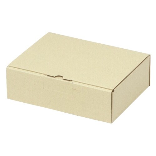 宅配 箱 EE−190宅送用ギフト箱6cm