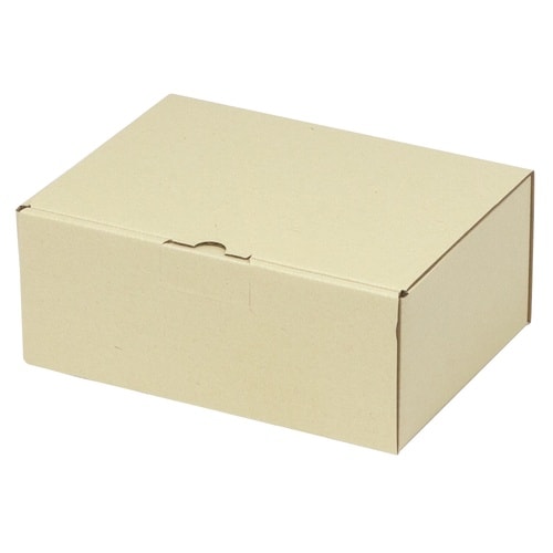 宅配 箱 EE−151宅送用ギフト箱10cm