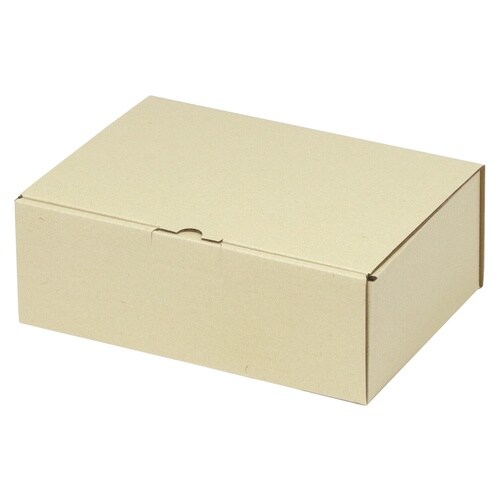 宅配 箱 EE−152宅送用ギフト箱10cm