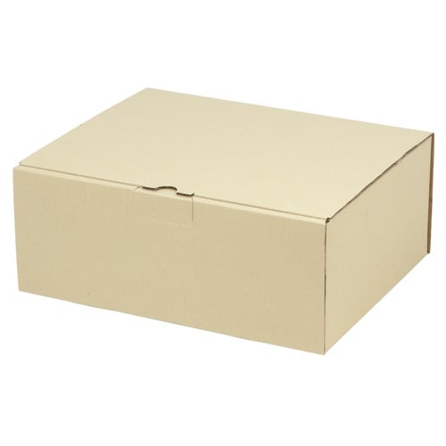 宅配 箱 EE−163宅送用ギフト箱12cm