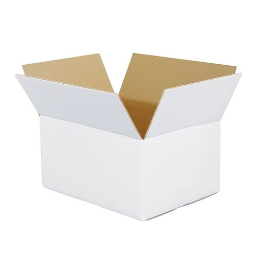 100サイズ白ダンボール 5枚セット