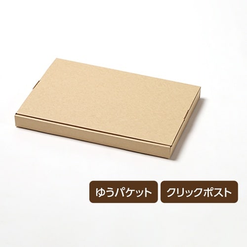 メール便ケース N式 A4 3cm対応