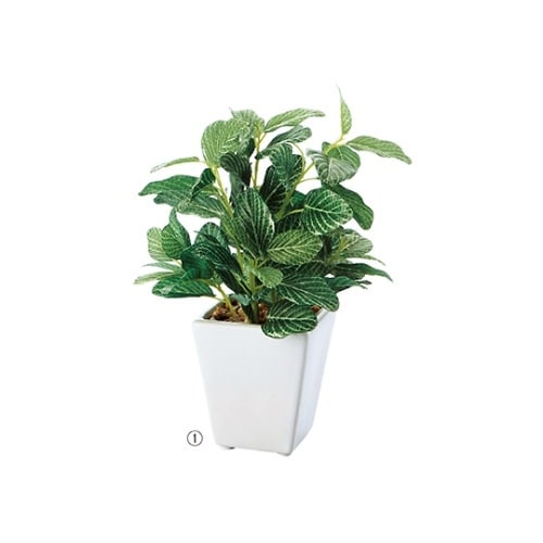 61−174−9−1 ミニグリーンポット