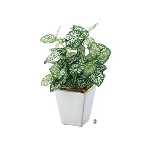 61−174−9−2 ミニグリーンポット