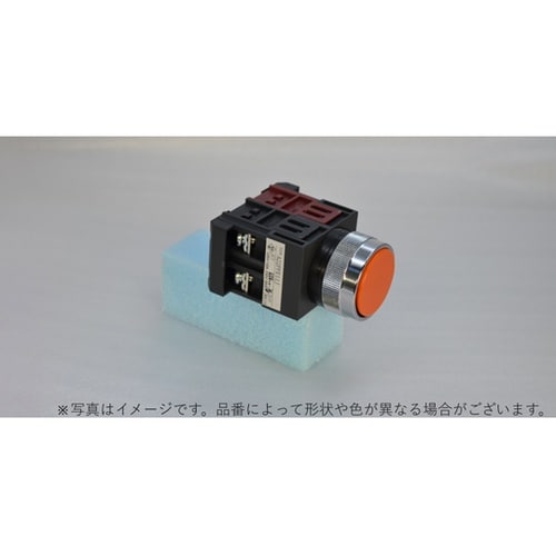 φ22平形押しボタンスイッチモメンタリ金