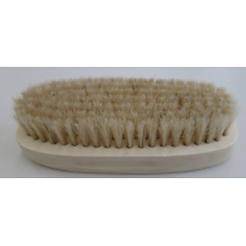 白木ブリストルブラシ 小判 白 No.8