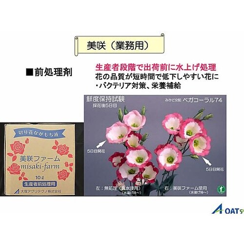 切り花長持ち液 美咲プロ 生産者用 美咲