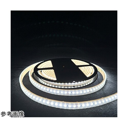 LEDテープライト DC24V 昼光色6