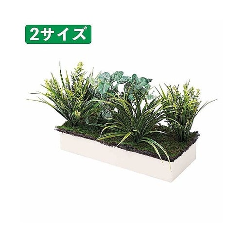 【オプション】プランターボックス専用植栽