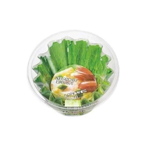 お弁当カップ 日本製 レタスそっくりケー