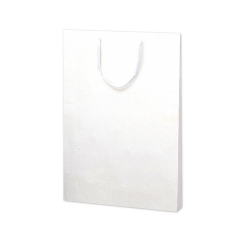 手提げ袋 額縁用 390×45×510m