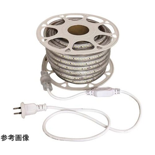 LEDロープライト 両面発光 白 10m