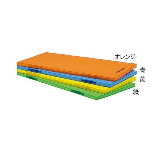 T2529B 屋内外兼用マット 青