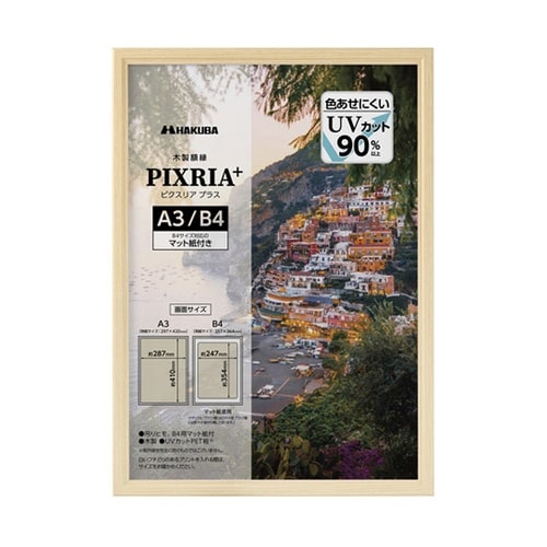 木製額 ピクスリアプラス A3 NT F