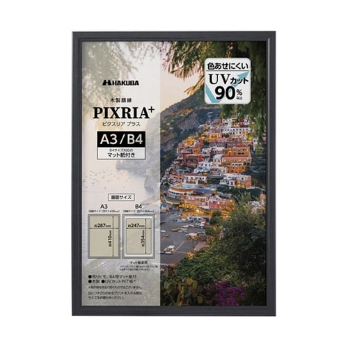 木製額 ピクスリアプラス A3 BK F