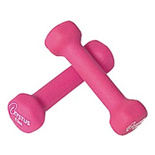 ラバーコートダンベル 0.5kg 1組(