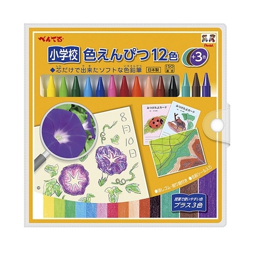 小学校色えんぴつ 12色+3色 納品用