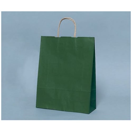 紙手提袋 No.2 グリーン 丸紐 1ケ