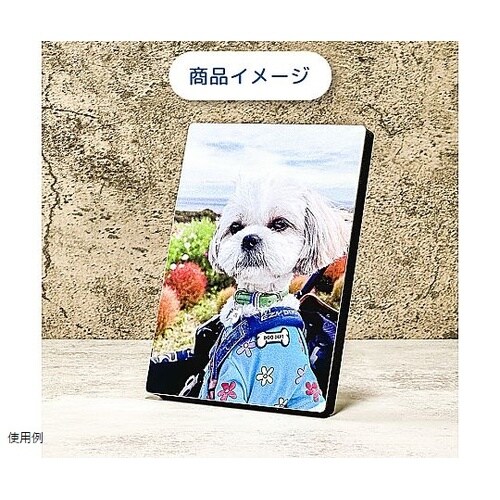 すまでこ スタンド178B 1箱(20個