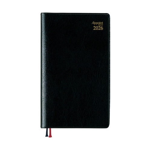 2026 アポイント 1W+横罫 E10