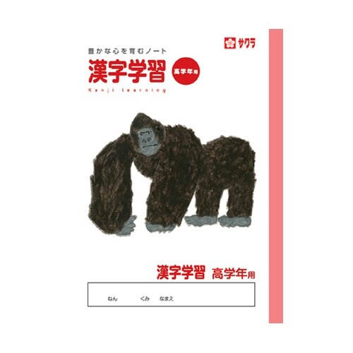 漢字高学年用 NP60