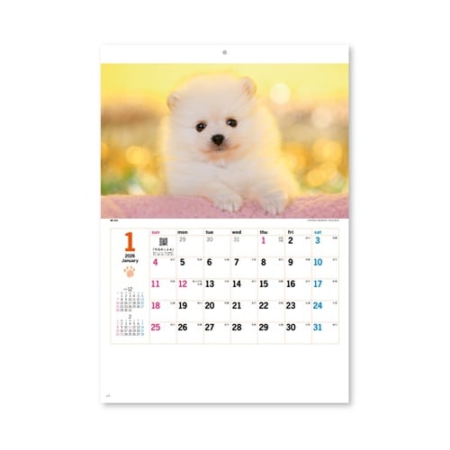 サンキュー・ドッグ NK454