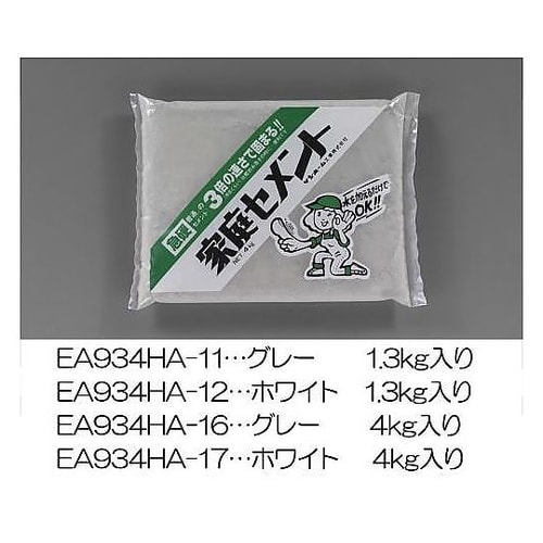 4.0kg 急硬セメント(灰色) EA9