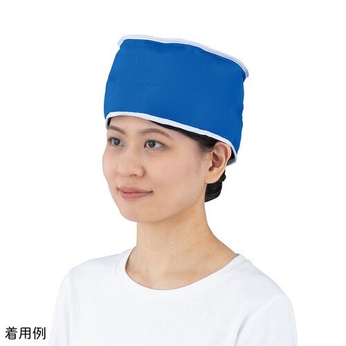 ぴったりクールパック 頭用 200×12