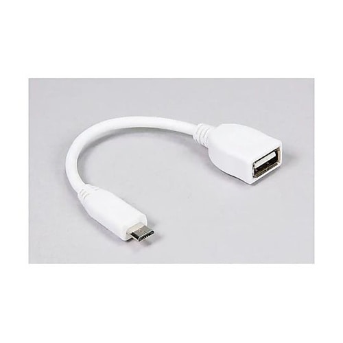 Raspberry Pi 公式OTGケー