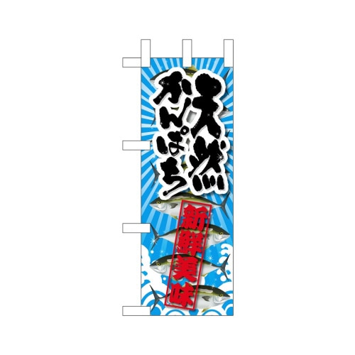 ミニのぼり45160天然かんぱち新鮮美味×3