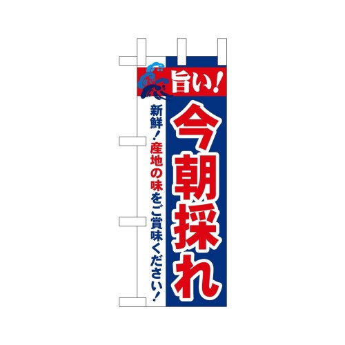 ミニのぼり68458今朝採れ旨い!×3