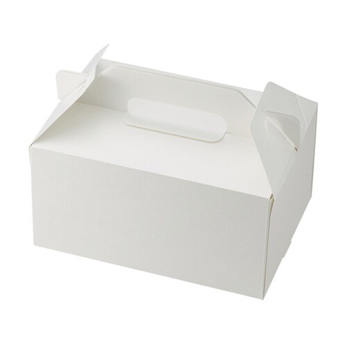 スリムエコキャリーケーキ箱ホワイト 15×21×4