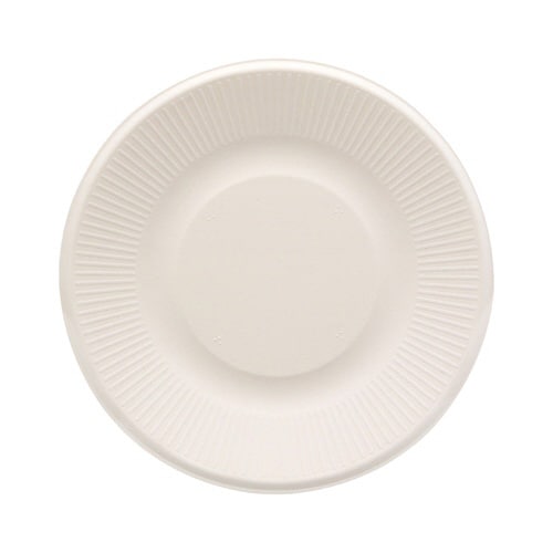 バガスプレート ホワイト 21cm 50枚入×16