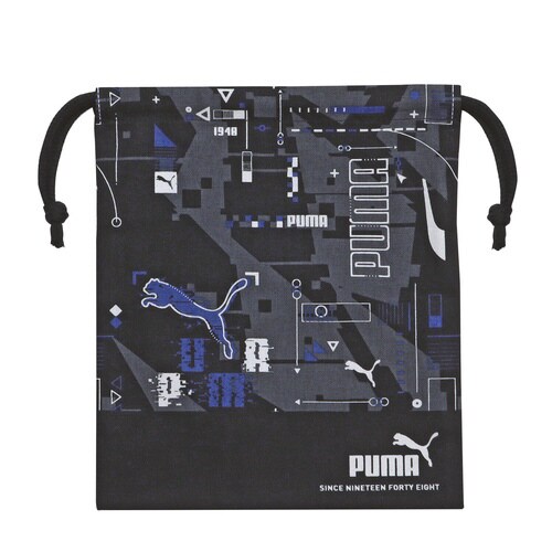 キンチャク(S)×5