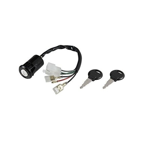 モンキー メインキー 後期