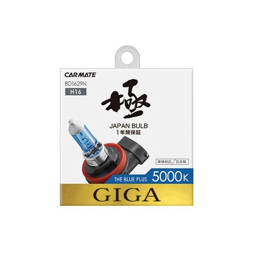 ザ・ブループラス5000K H16