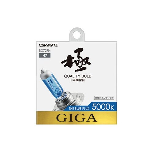 ザ・ブループラス5000K H7