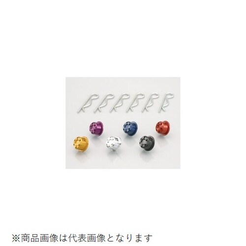 ピボットキャップ クローム クローム