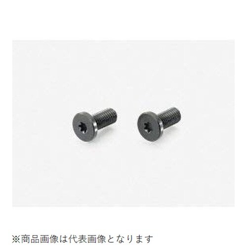 ローヘッドスクリューRENY 4X16/2PC