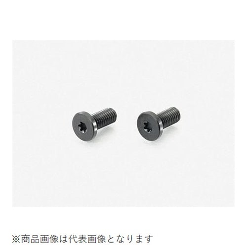ローヘッドスクリューRENY 4X20/2PC