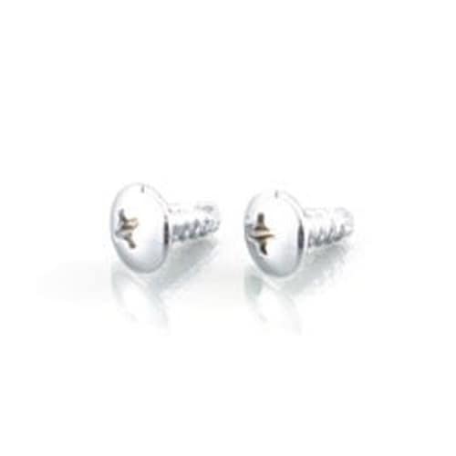 トラスタッピングビス(クローム) 4X14/2PC