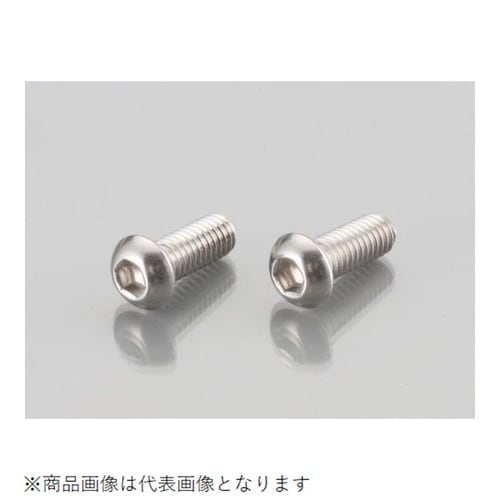 ボタンキャップボルト(ステン) 5X12/2PC