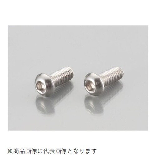 ボタンキャップボルト(ステン) 5X30/2PC