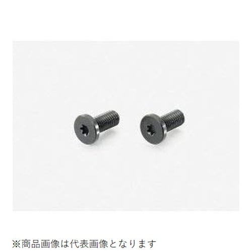 ローヘッドスクリューRENY 5X12/2PC