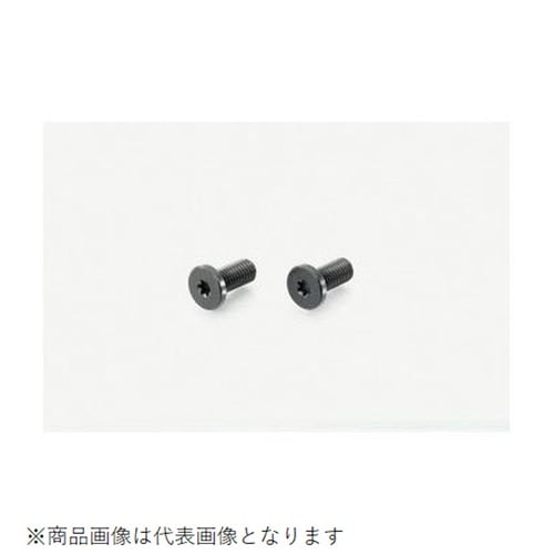 ローヘッドスクリューRENY 5X16/2PC