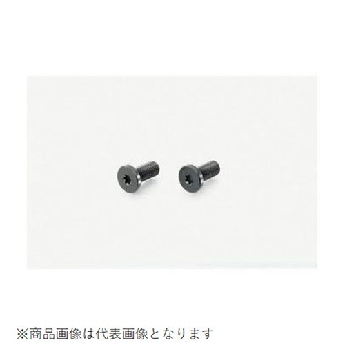 ローヘッドスクリューRENY 5X20/2PC